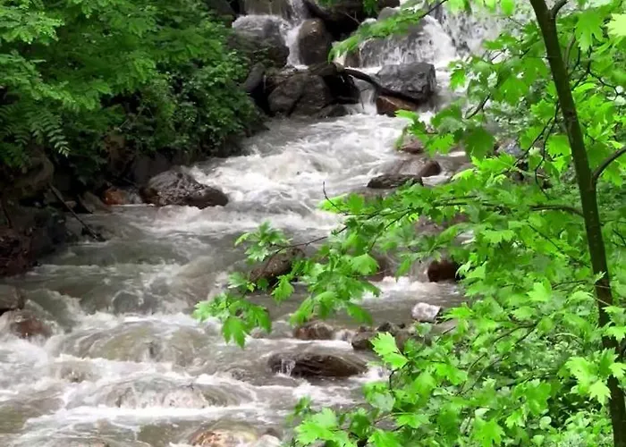 Hotel Sapanca Keyf-i Dere